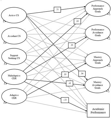 Relations of coping strategies and cognitive emotion regulation to Chinese children’s academic achievement goals and academic performance